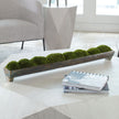 Canal Moss Centerpiece, Large