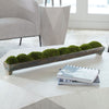 Canal Moss Centerpiece, Large