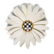 CC SM DAISY