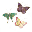 BUTTERFLY TRIO WALL DECOR FIELD