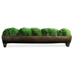 Canal Moss Centerpiece, Small