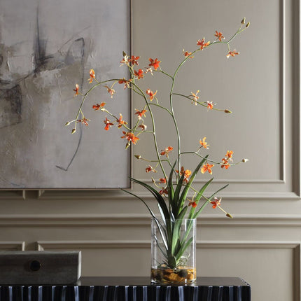Dancing Orchid