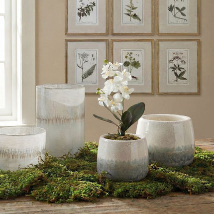 Laris Orchid Drop-In