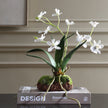 Clovis Orchid Drop-In