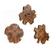 Kalani Outdoor Wood Wall Decor, Natural, S/3