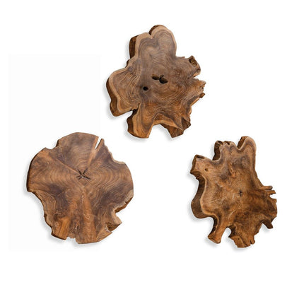 Kalani Outdoor Wood Wall Decor, Natural, S/3