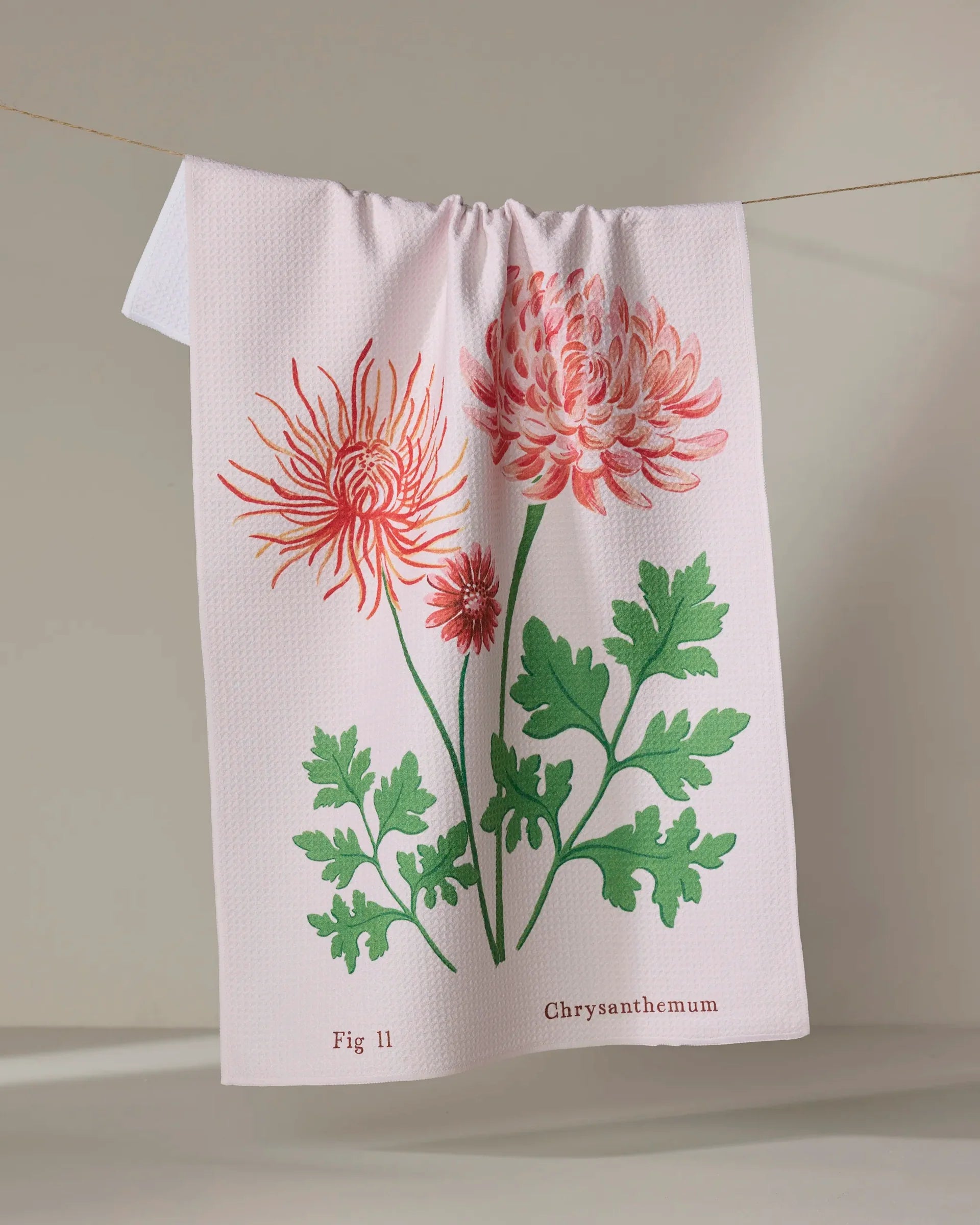 CHRYSANTHEMUMS IN NOVEMBER TEA