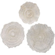 Ocean Gems Outdoor Wall Decor, Natural, S/3