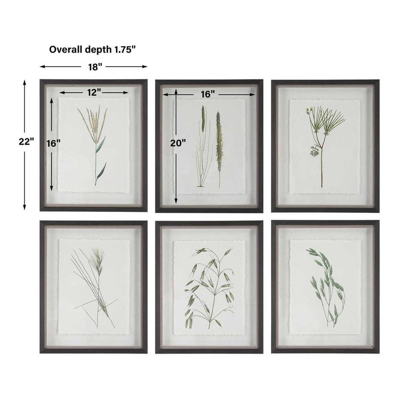 Forest Finds Framed Prints, S/6