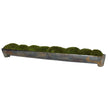 Canal Moss Centerpiece, Large