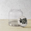 BO COOKIE JAR