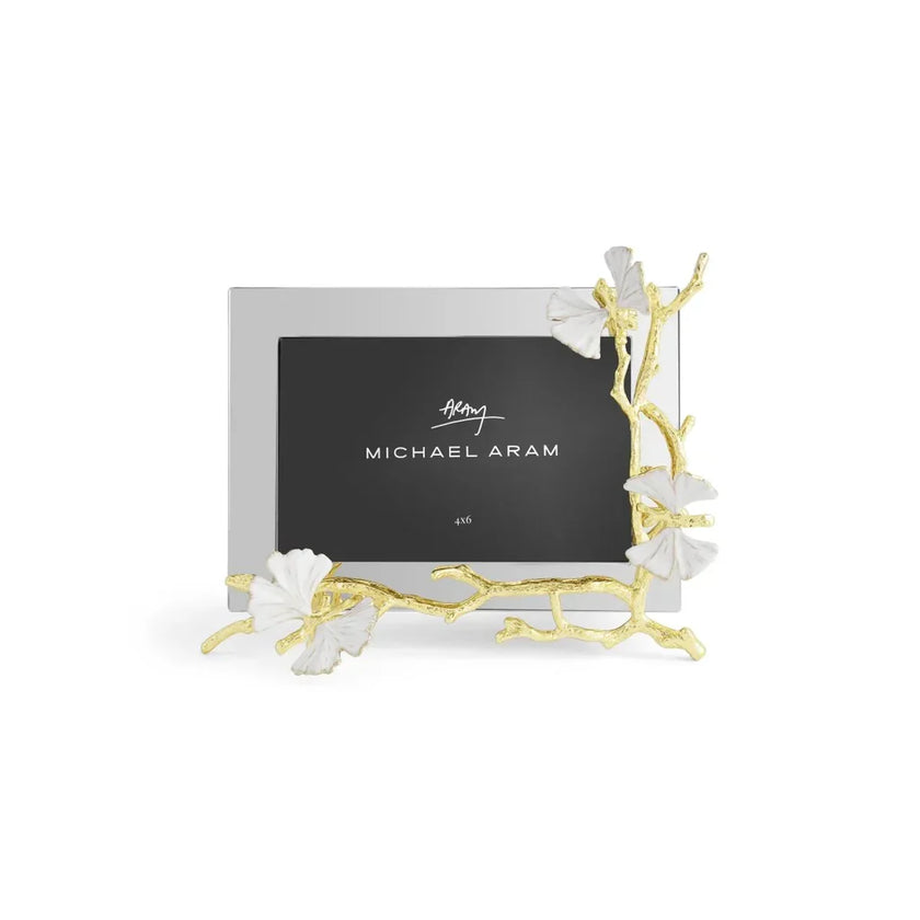 BFG GLD 4X6 FRAME