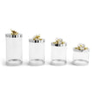 ORCHID MD CANISTER
