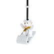 SLEDDING TEDDY ORNAMENT