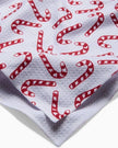 STRIPED SANTA TEA TOWEL