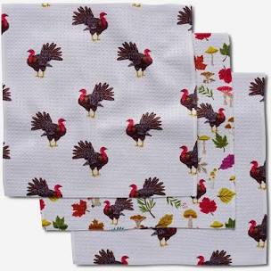 Turkey Day Parade Dishcloth Set